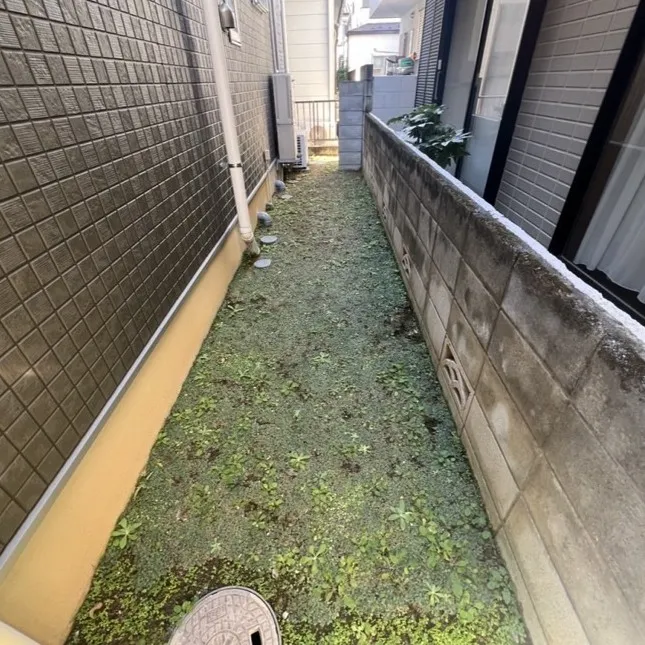 ビフォー1
