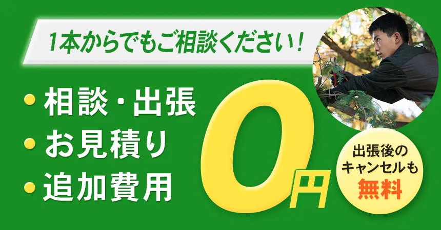 1本からでもご相談ください